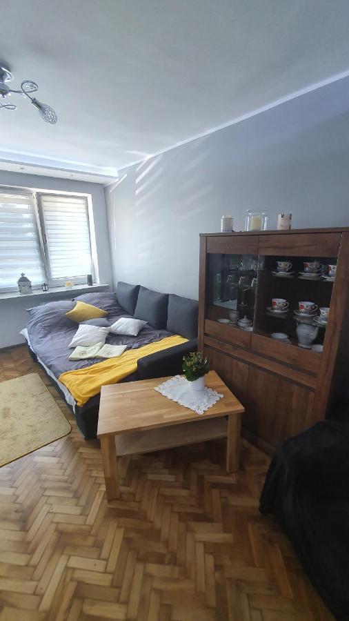 Apartament Park Saski Sandomierz Exterior foto